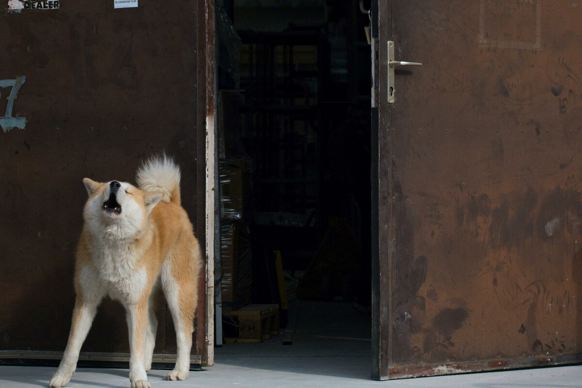 Фото: unsplash.com