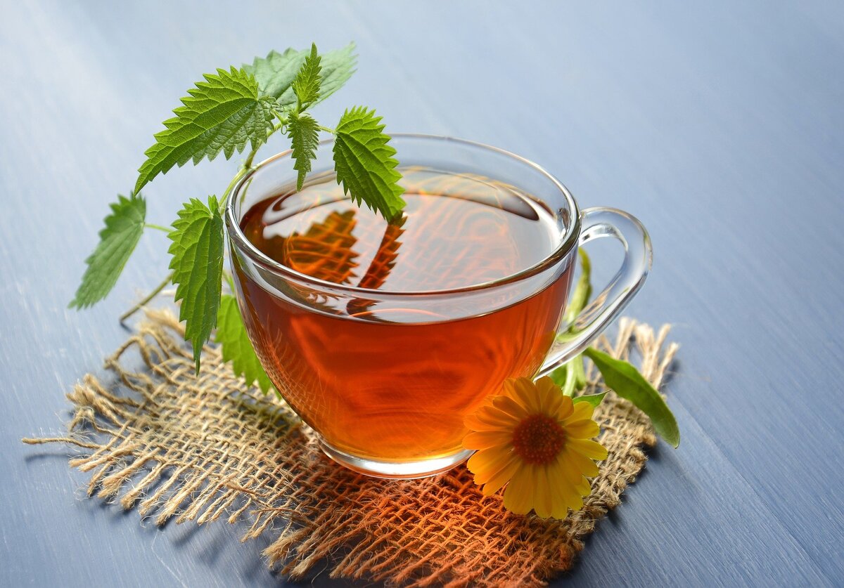Иллюстрация взята с сайта pixabay.com