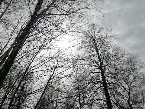 Фотография из личного архива автора