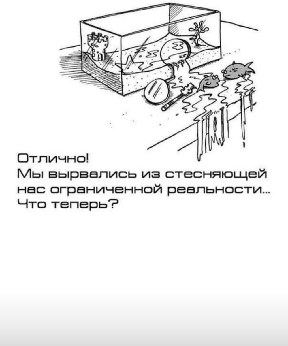 Картинка с акулой про зону комфорта