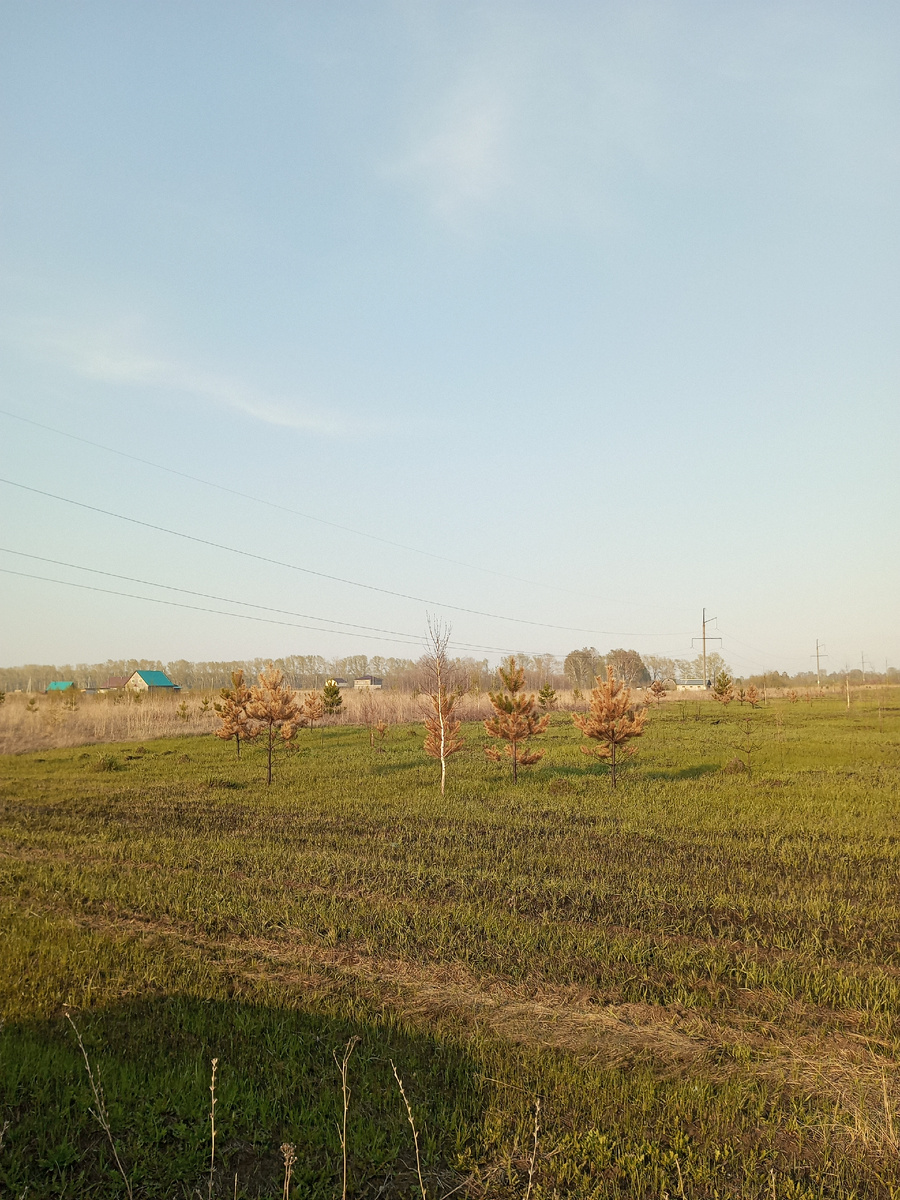 в центре фотографии видно наш дом (правый из двух)