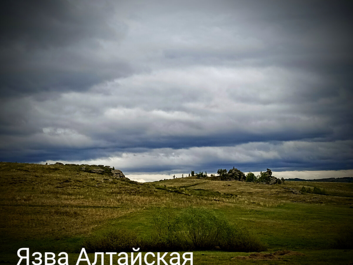 По пути в Саввушку. 