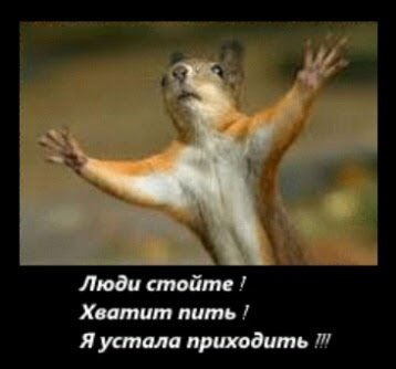 Белочка устала приходить .