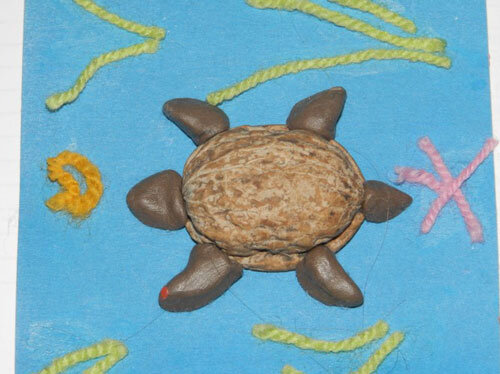 Конспект занятия в детском саду по ознакомлению с окружающим миром «Встреча с морской черепахой»