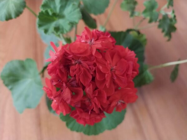    Фото: Екатерина Иванова