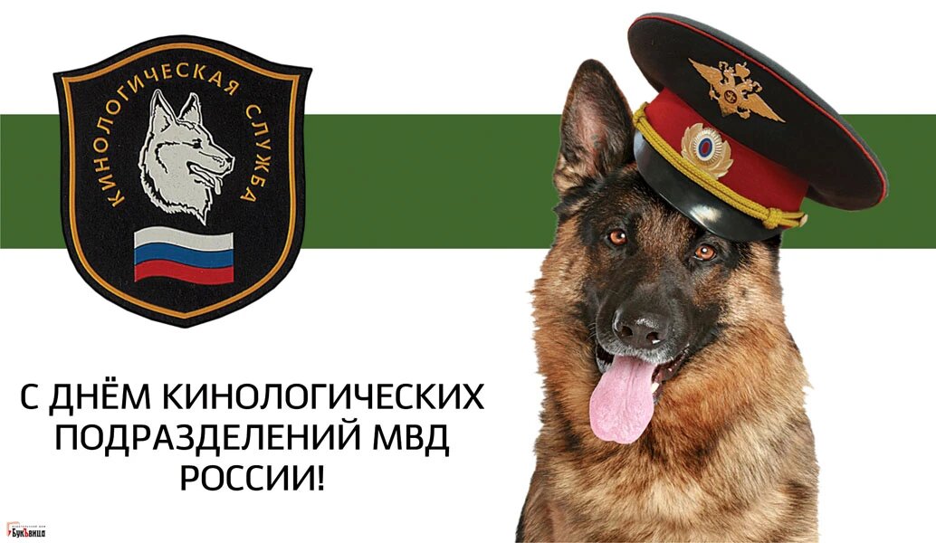 С днем кинолога поздравления в картинках