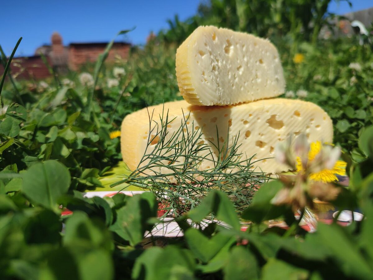 Делаем сыры, разных вкусов. 