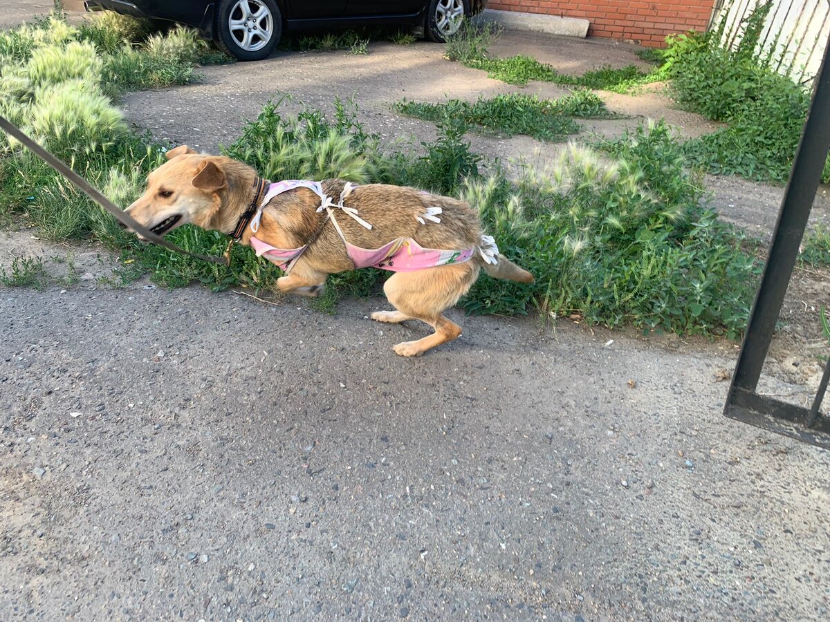Бегаем на прогулке 