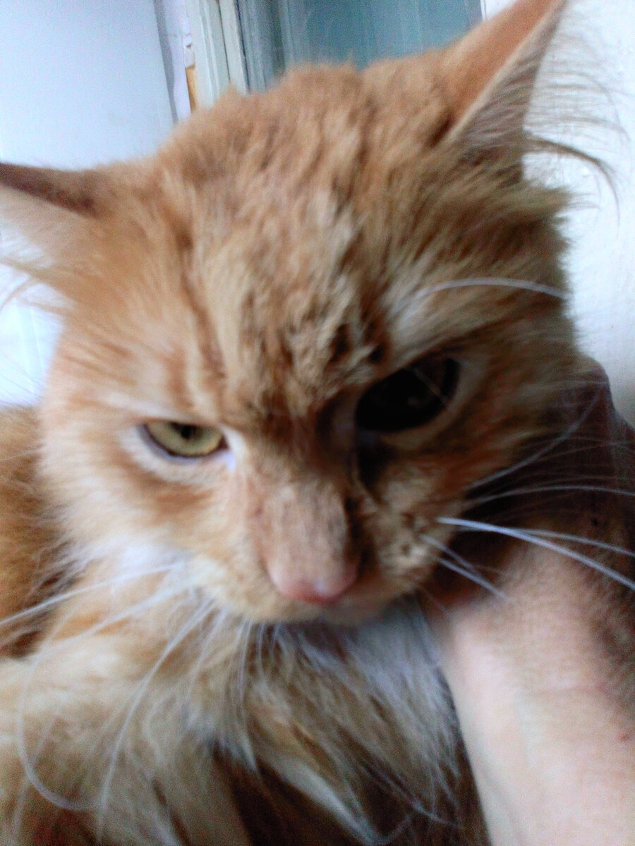 А ты уверена? 