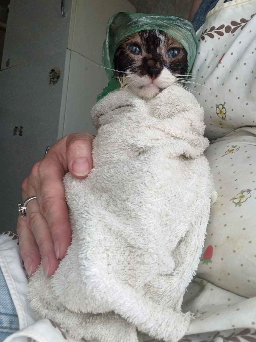 Обработка от лишая