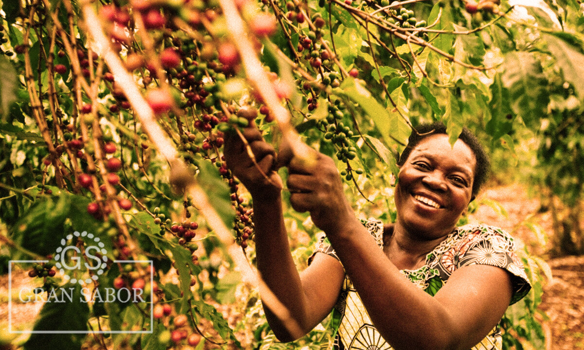 Главное правильно выбрать страну происхождения зерен