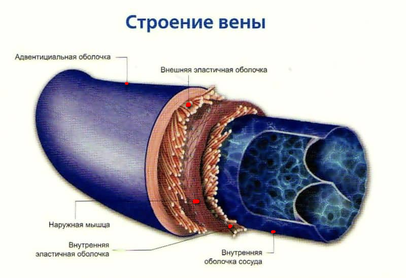 Почему у наркоманов пропадают вены