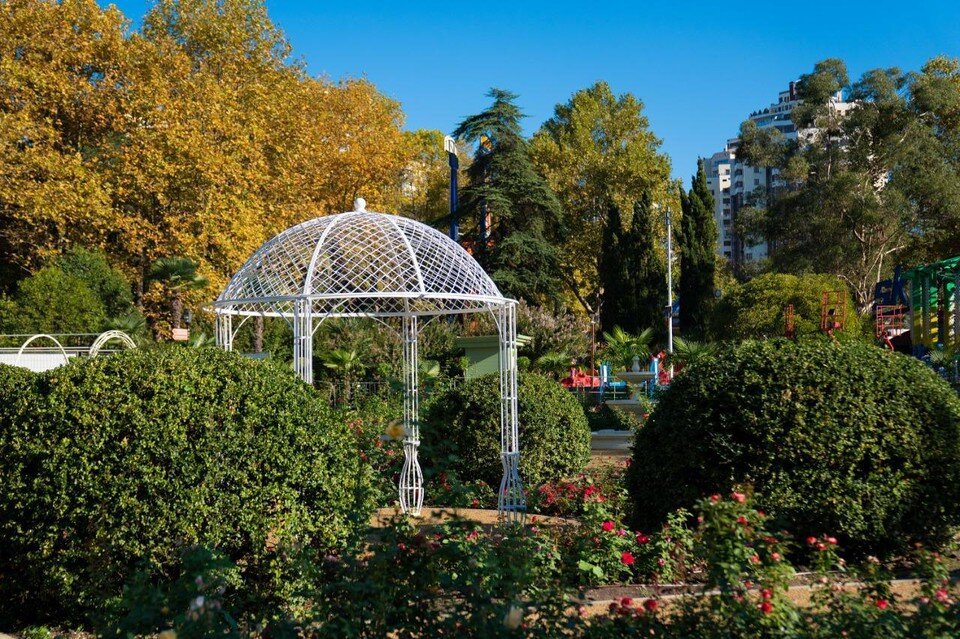     Обновленный розарий откроют уже в сентябре. Фото: администрации Сочи.