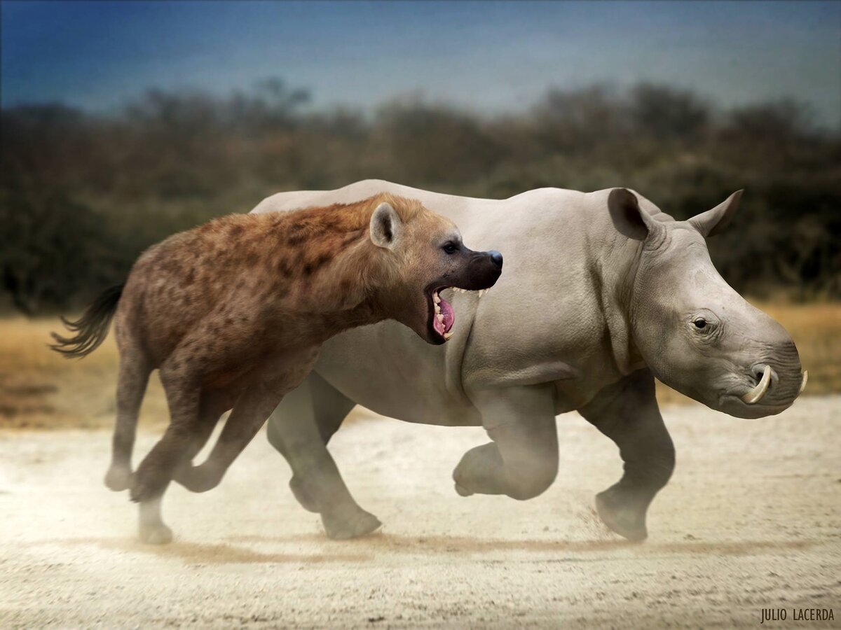 А ну стой! Я ещё не закончила!