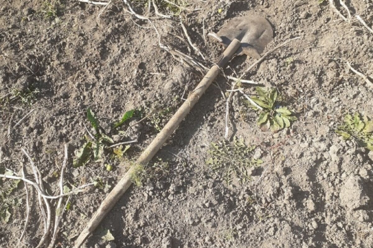    В жительницу Новосибирской области прилетела метла и лопата от соседей