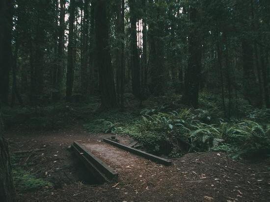     ФОТО: HTTPS://LOON.SITE/