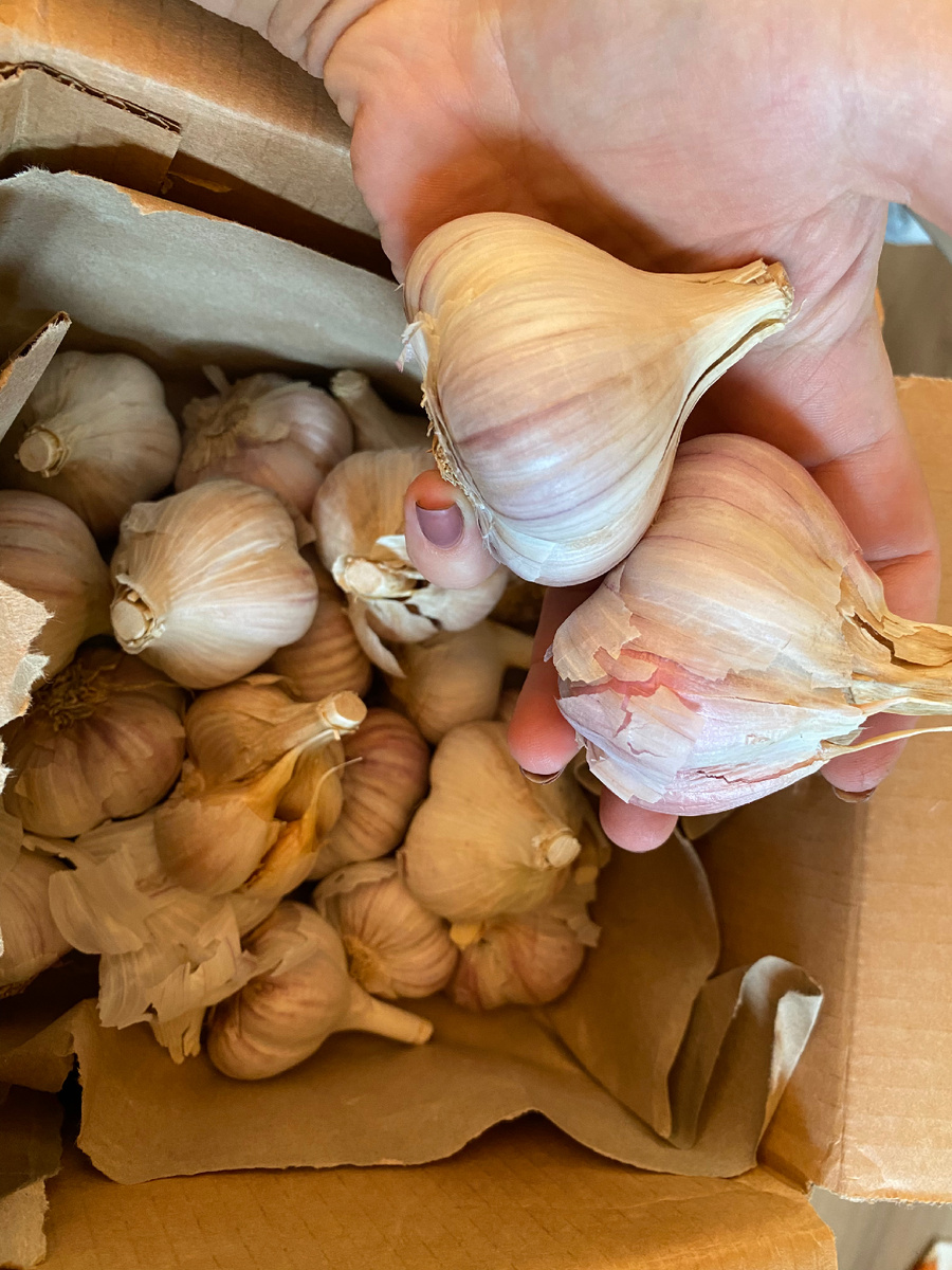 Личное фото 