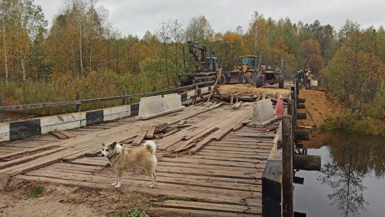 Фото: Юлия Щелокова