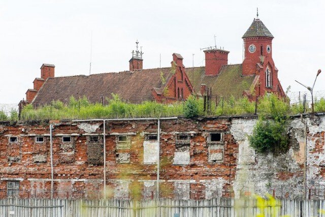   Фото: Калининград.Ru