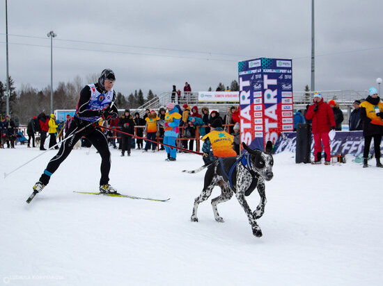   Людмила Корвякова