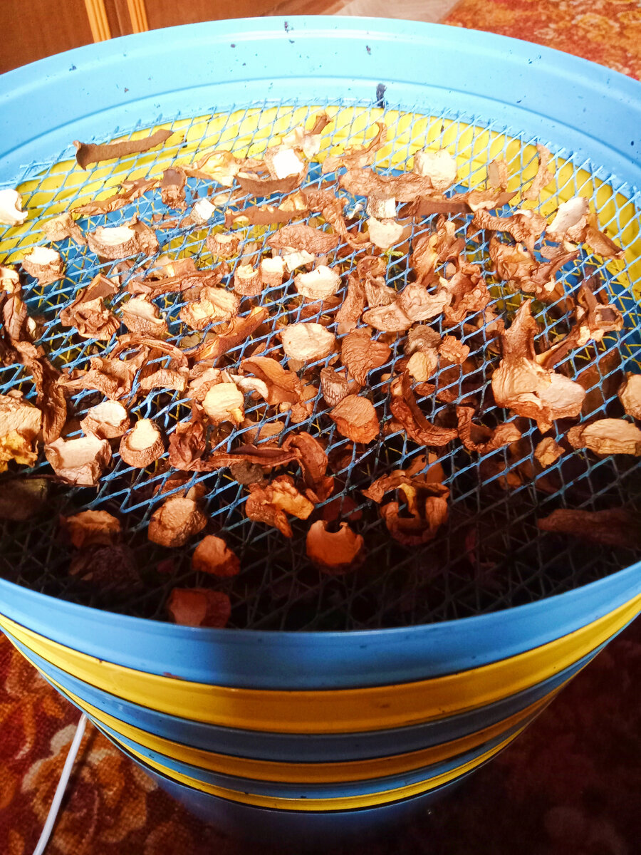 Осетинские пироги с грибами: пошаговый рецепт приготовления осетинского пирога с грибами с фото