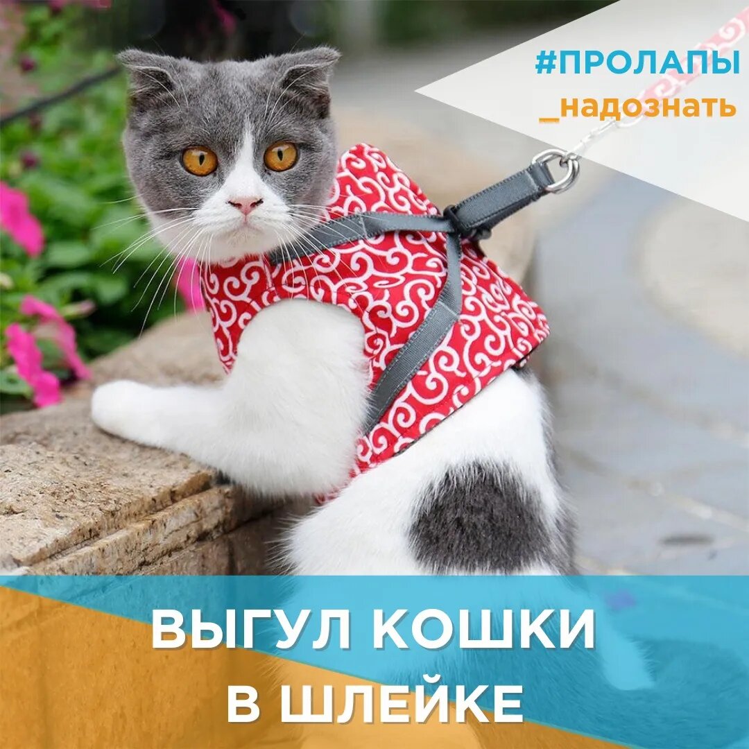 Возможность потери или травмирования