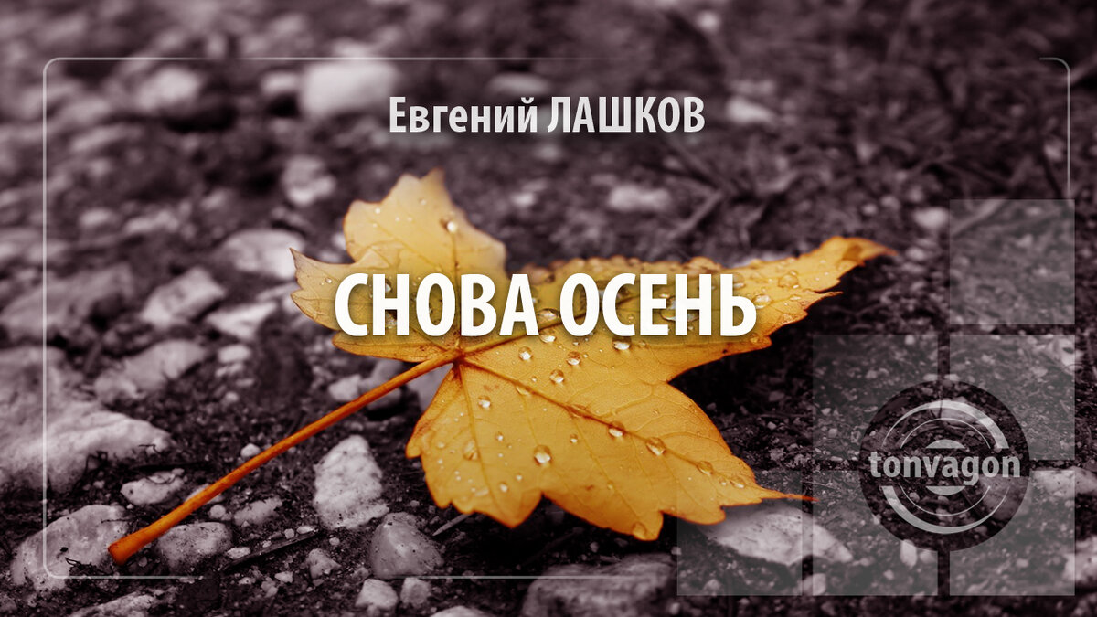 Стихотворение участвовало в конкурсе проекта ТОН-ВАГОН