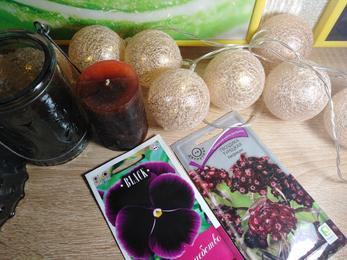 Черная "Волшебство" - для нового "готического" цветника с темными цветами и листьями