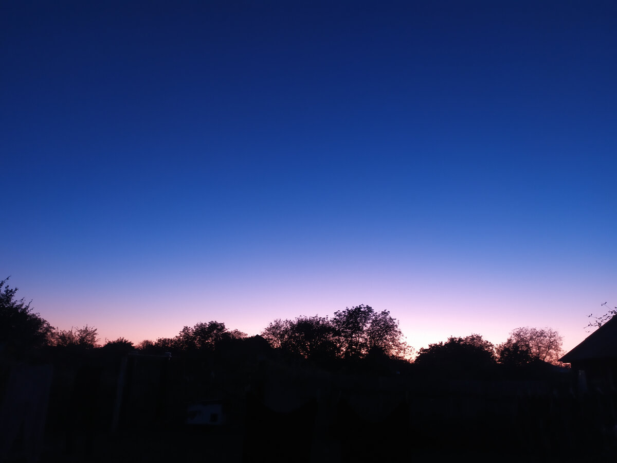 фото из личного архива.