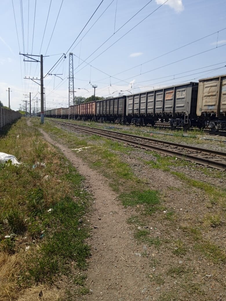 Вот такая тропа