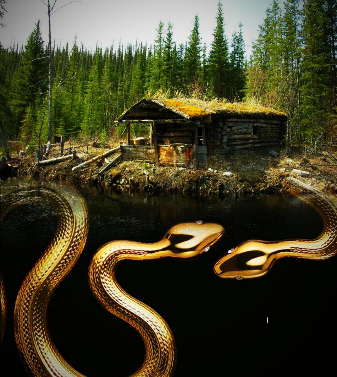 Фотоколлаж автора статьи