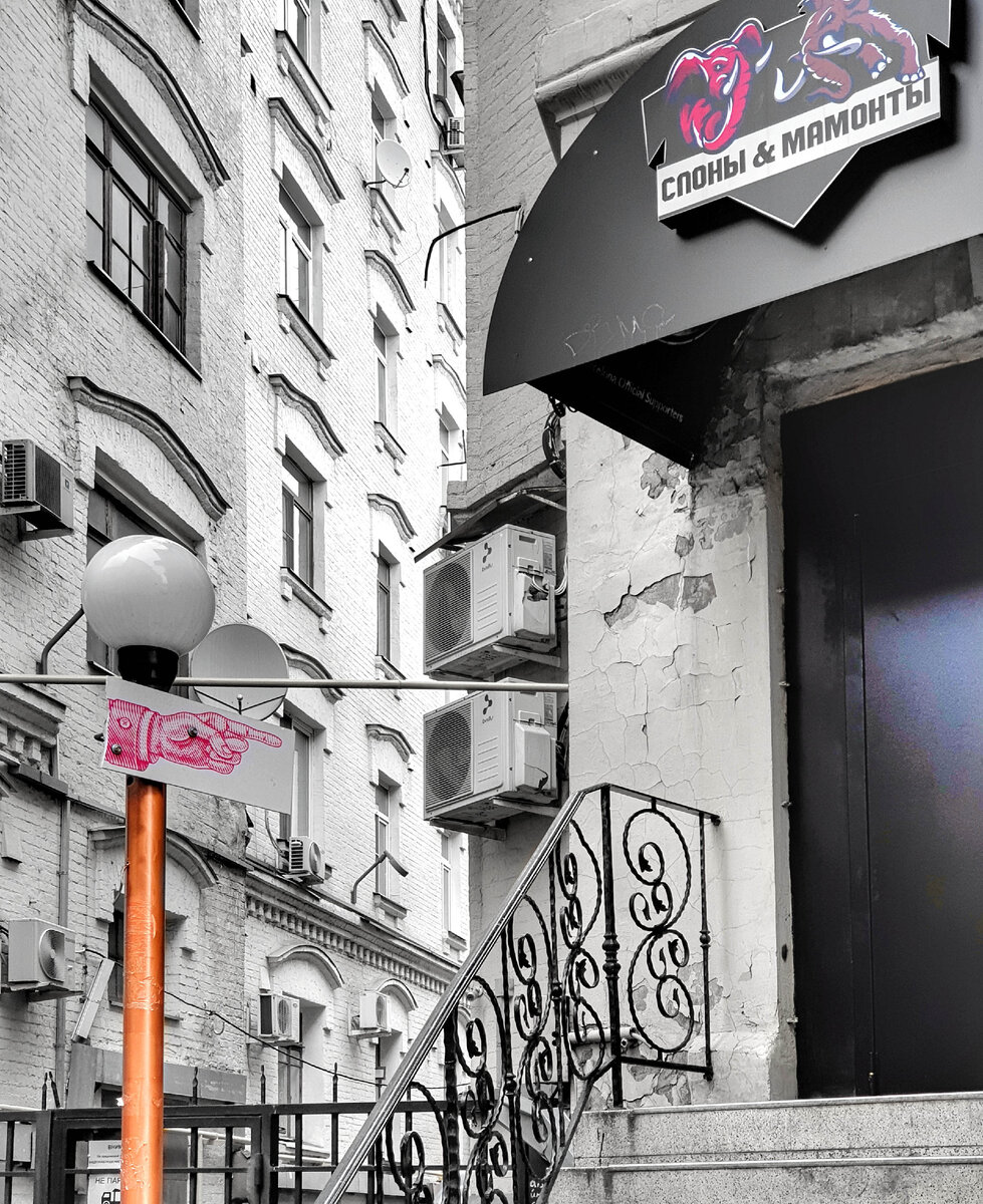 Картинка для привлечения внимания. Москва, Бар "Слоны и мамонты"