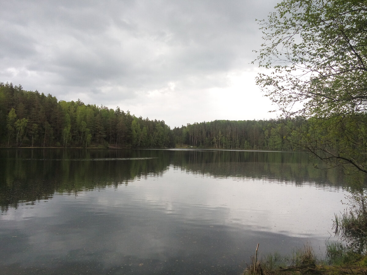 Кажется, дождь собирается...