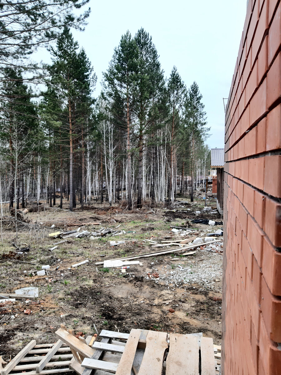 Кругом, конечно, стройка и строительный мусор - но ведь это не навсегда. Зато сосны