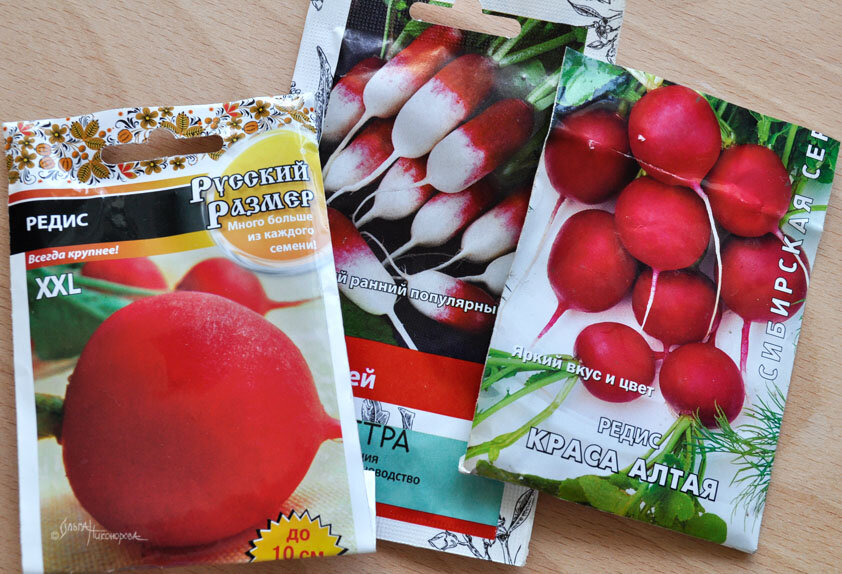 В этом году сажаю такие сорта