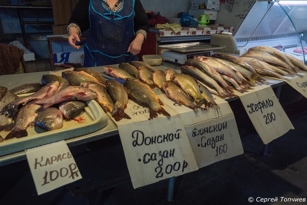 Фото и названия разных видов донской рыбы