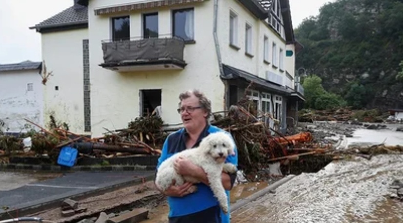 Из свободных источников сети Интернет