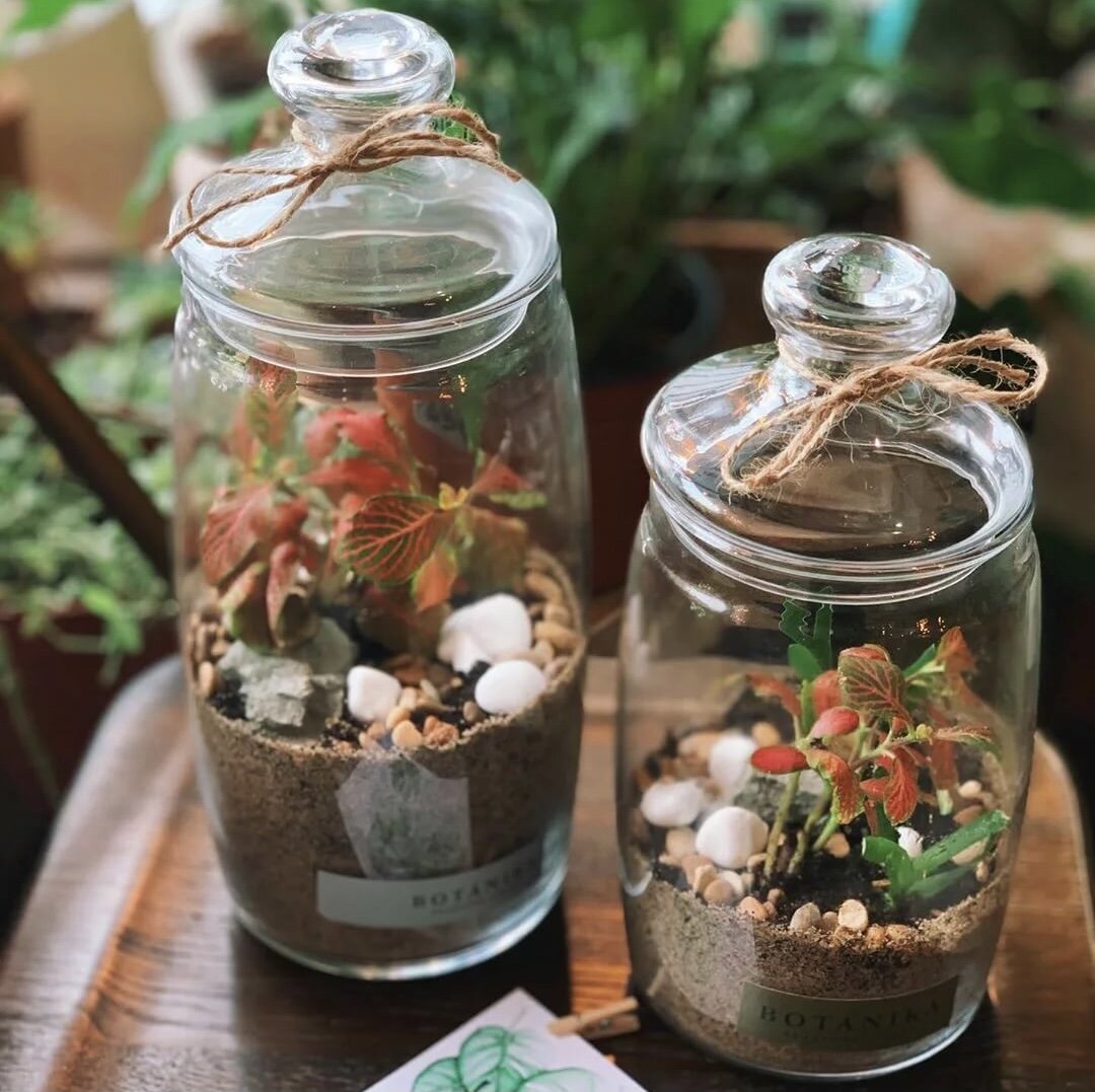 Организация в хозяйстве