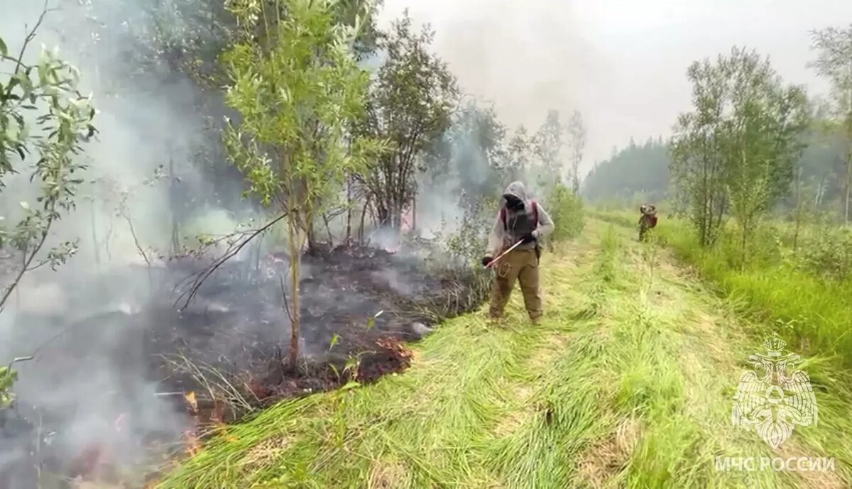 Картинка с сайта Sputnik Беларусь