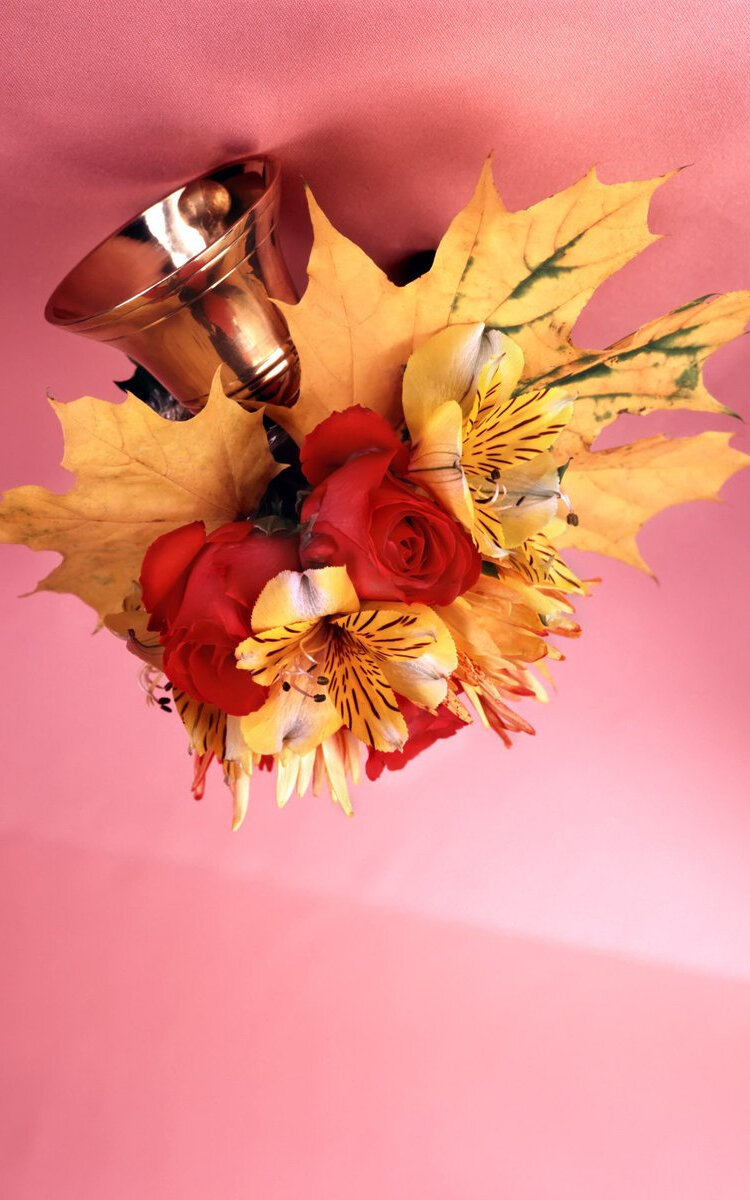 С Днём знаний