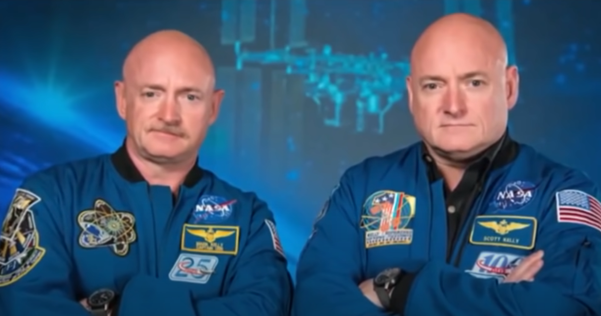 Изображение взято из открытого источника 