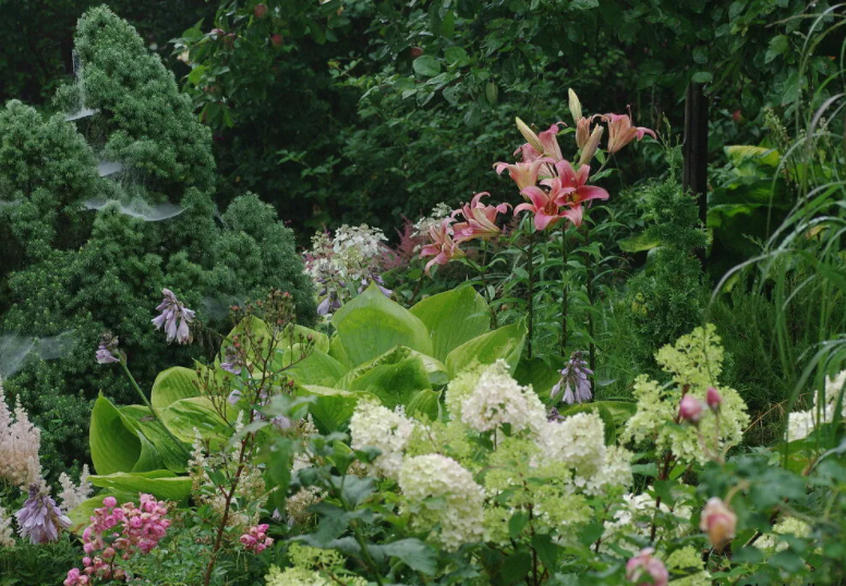 Пройдя сквозь портал, я оказался в нашем саду
