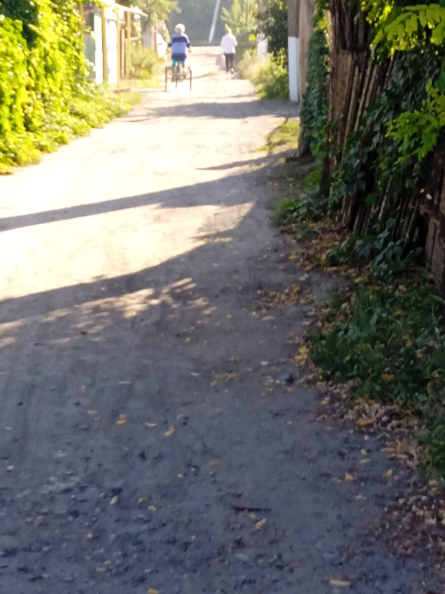 трехколесный велосипед - отличное средство передвижения для садовода