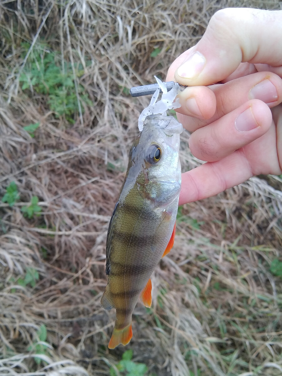 размер универсальный - и мелкому окуньку в пасть влезет