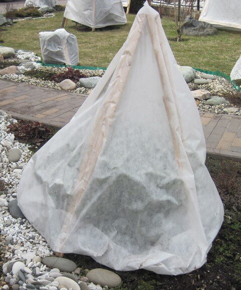 Туя брабант укрытия. Укрытие для роз. Материал для укрытия туй. Материал для укрытия туй. Материал для укрытия туй.