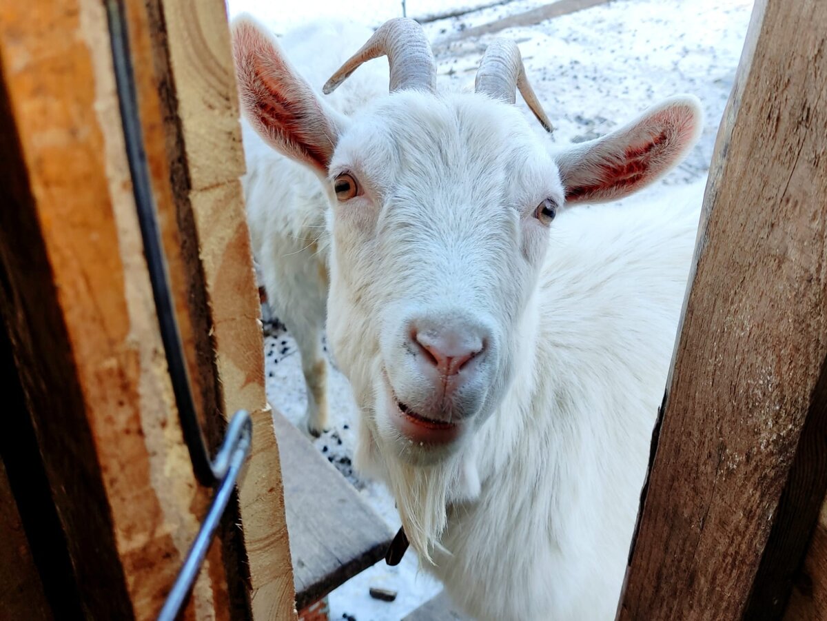 Запусти меня