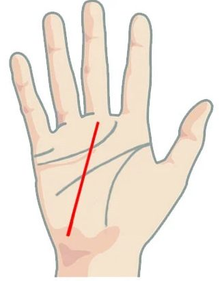 Начало линии судьбы с холма Луны  - нижняя часть линии на холме Луны. https://v-kosmose.com/gadanie-onlajn/liniya-sudby-na-ruke-rasshifrovka-s-foto/