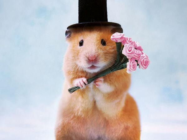 Взято из интернета