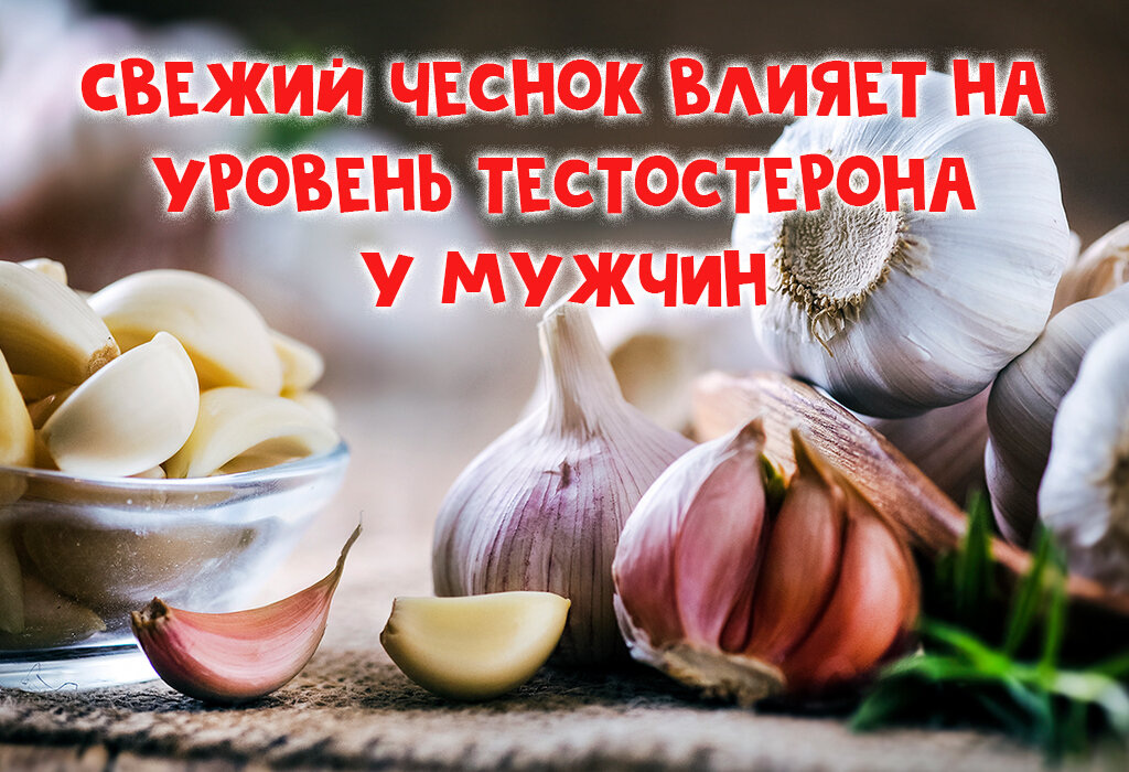 Чеснок польза для здоровья