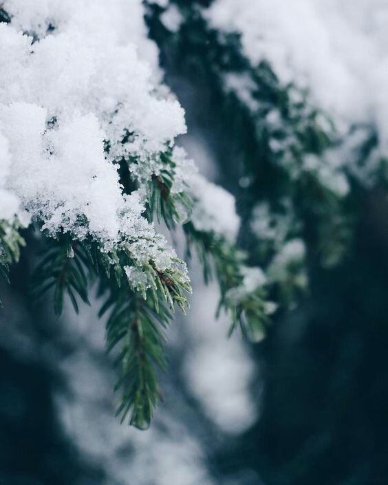 фото из свободных источников